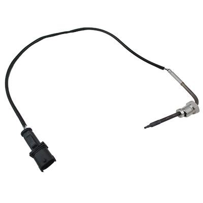 We Parts 411420965 Exhaust gas temperature sensor 411420965: Buy near me in Poland at 2407.PL - Good price!
