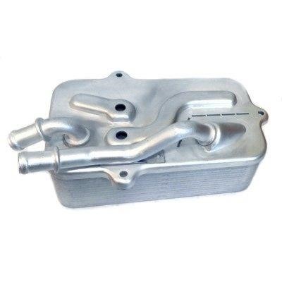 We Parts 381590082 Oil Cooler, automatic transmission 381590082: Buy near me in Poland at 2407.PL - Good price!