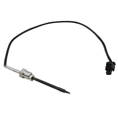 We Parts 411420752 Exhaust gas temperature sensor 411420752: Buy near me in Poland at 2407.PL - Good price!