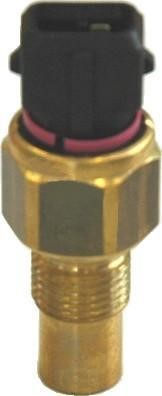 We Parts 410580251 Coolant temperature sensor 410580251: Buy near me at 2407.PL in Poland at an Affordable price!