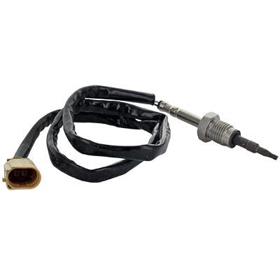 We Parts 411420399 Exhaust gas temperature sensor 411420399: Buy near me in Poland at 2407.PL - Good price!