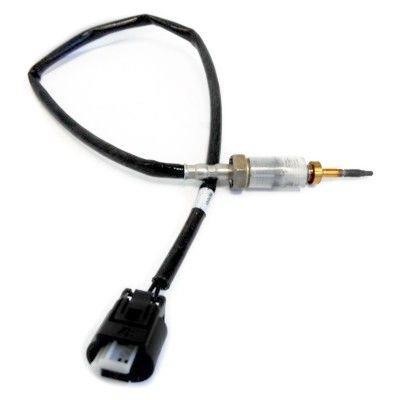 We Parts 411421022 Exhaust gas temperature sensor 411421022: Buy near me in Poland at 2407.PL - Good price!