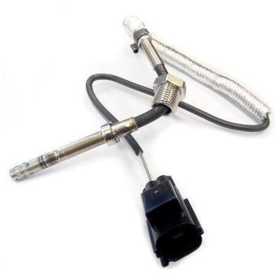 We Parts 411420109 Exhaust gas temperature sensor 411420109: Buy near me in Poland at 2407.PL - Good price!