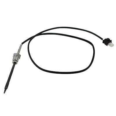 We Parts 411420660 Exhaust gas temperature sensor 411420660: Buy near me in Poland at 2407.PL - Good price!
