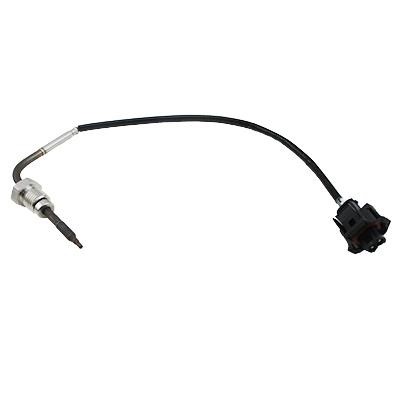 We Parts 411420719 Exhaust gas temperature sensor 411420719: Buy near me in Poland at 2407.PL - Good price!
