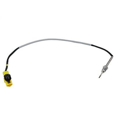 We Parts 411421160 Exhaust gas temperature sensor 411421160: Buy near me at 2407.PL in Poland at an Affordable price!