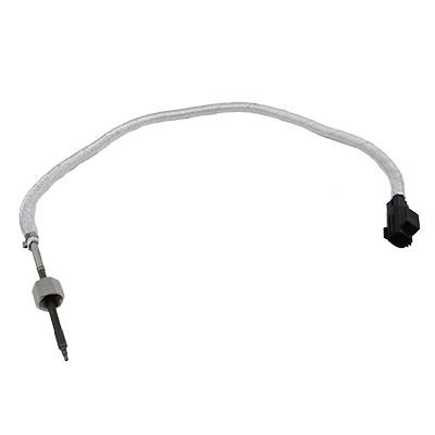 We Parts 411420242 Exhaust gas temperature sensor 411420242: Buy near me in Poland at 2407.PL - Good price!