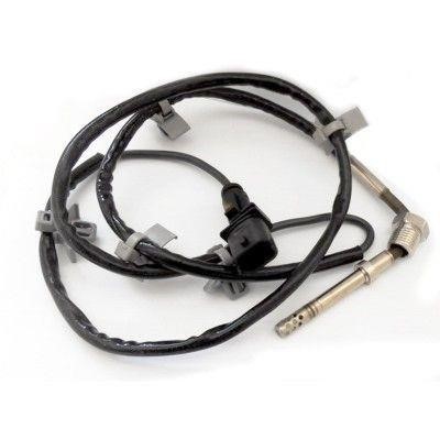 We Parts 411420285 Exhaust gas temperature sensor 411420285: Buy near me in Poland at 2407.PL - Good price!