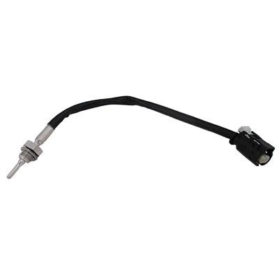 We Parts 411421155 Exhaust gas temperature sensor 411421155: Buy near me in Poland at 2407.PL - Good price!