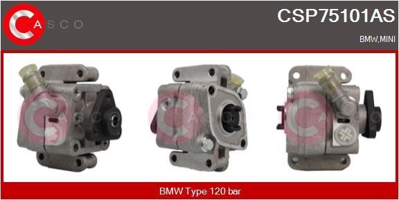 Casco CSP75101AS Hydraulic Pump, steering system CSP75101AS: Buy near me in Poland at 2407.PL - Good price!