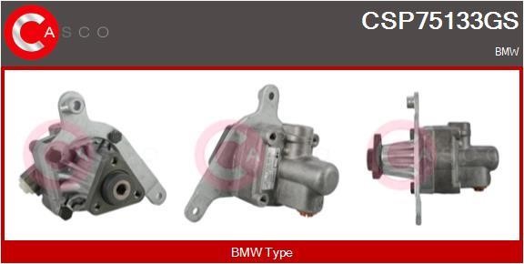Casco CSP75133GS Hydraulic Pump, steering system CSP75133GS: Buy near me in Poland at 2407.PL - Good price!