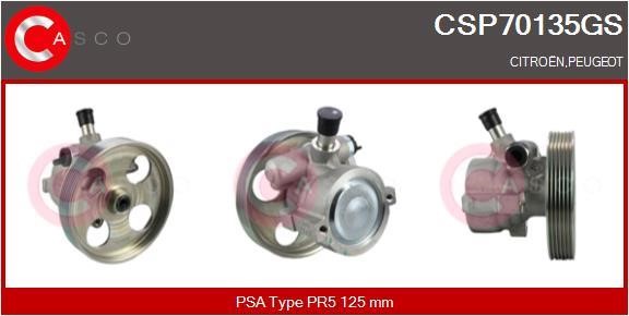 Casco CSP70135GS Hydraulic Pump, steering system CSP70135GS: Buy near me in Poland at 2407.PL - Good price!