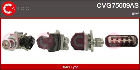 Casco CVG75009AS EGR Valve CVG75009AS: Buy near me in Poland at 2407.PL - Good price!