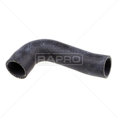 Rapro R19831 Radiator hose R19831: Buy near me in Poland at 2407.PL - Good price!