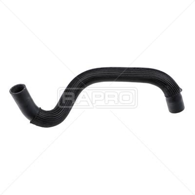 Rapro R44123 Radiator hose R44123: Buy near me in Poland at 2407.PL - Good price!