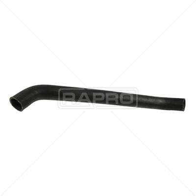 Rapro R11615 Radiator hose R11615: Buy near me at 2407.PL in Poland at an Affordable price!