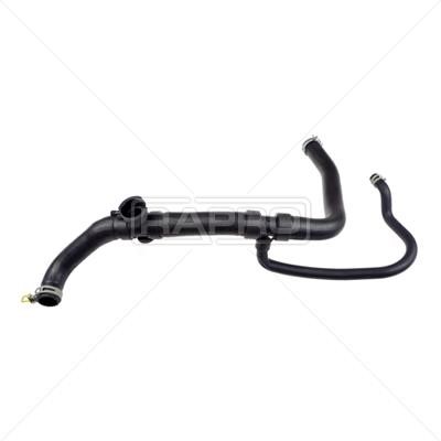 Rapro R42110 Radiator hose R42110: Buy near me at 2407.PL in Poland at an Affordable price!