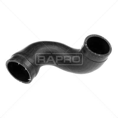 Rapro R16431 Heater hose R16431: Buy near me in Poland at 2407.PL - Good price!