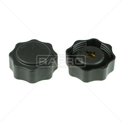Rapro R66129 Cap, coolant tank R66129: Buy near me at 2407.PL in Poland at an Affordable price!