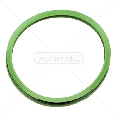 Rapro R54884 Прокладка, датчик уровня топлива R54884: Отличная цена - Купить в Польше на 2407.PL!