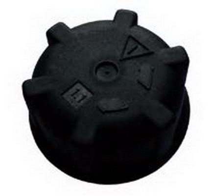 Ryme 43420 Cap, coolant tank 43420: Buy near me at 2407.PL in Poland at an Affordable price!