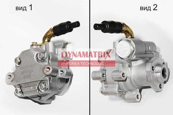 Dynamatrix DPSP213 Hydraulic Pump, steering system DPSP213: Buy near me in Poland at 2407.PL - Good price!