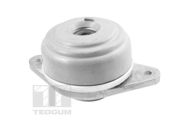 TedGum TED37501 Motorlager TED37501: Kaufen Sie zu einem guten Preis in Polen bei 2407.PL!