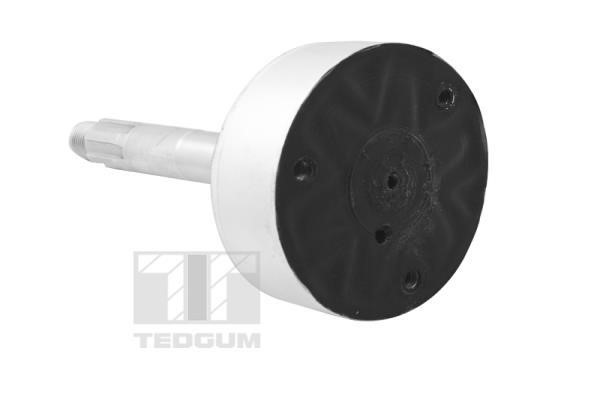 Buy TedGum TED42866 at a low price in Poland!