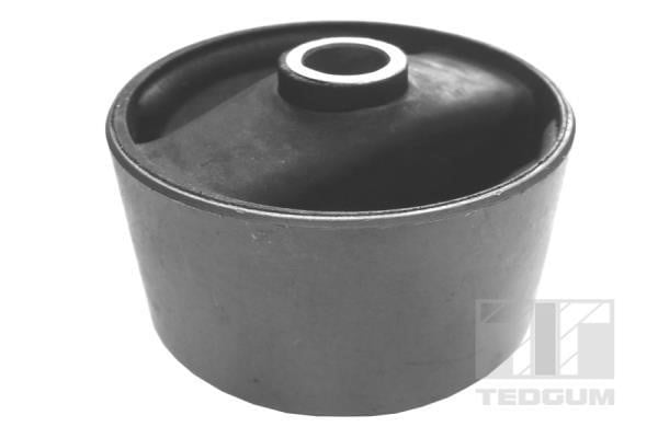 TedGum 00286875 Engine mount bracket 00286875: Buy near me at 2407.PL in Poland at an Affordable price!