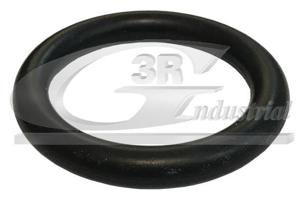 3RG 84219 Gasket, intake manifold 84219: Buy near me at 2407.PL in Poland at an Affordable price!