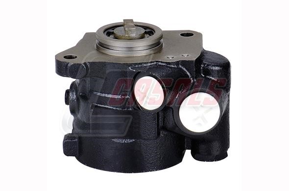 Casals 97541 Hydraulic Pump, steering system 97541: Buy near me in Poland at 2407.PL - Good price!