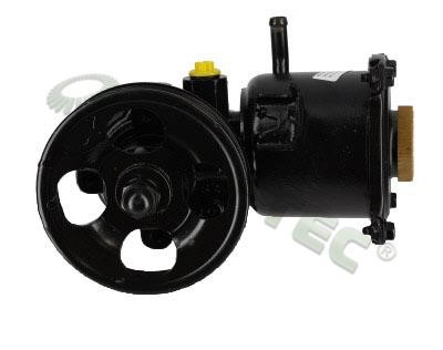 Shaftec HP1862 Hydraulic Pump, steering system HP1862: Buy near me at 2407.PL in Poland at an Affordable price!