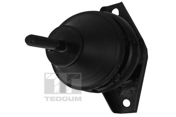 TedGum 00600036 Engine mount 00600036: Buy near me in Poland at 2407.PL - Good price!