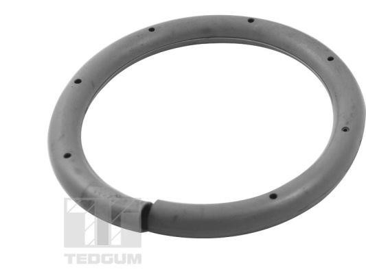 TedGum TED99874 Spring plate TED99874: Buy near me in Poland at 2407.PL - Good price!