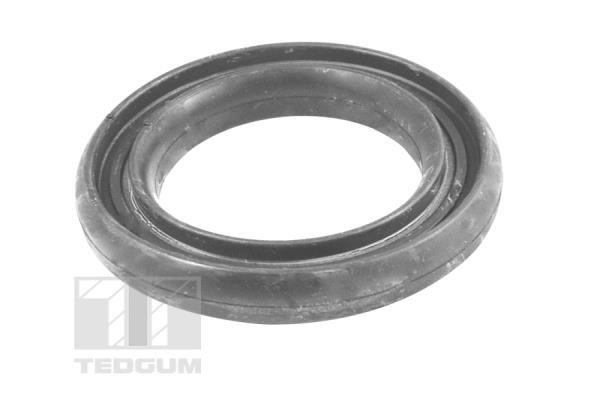 TedGum TED93783 Spring plate TED93783: Buy near me at 2407.PL in Poland at an Affordable price!