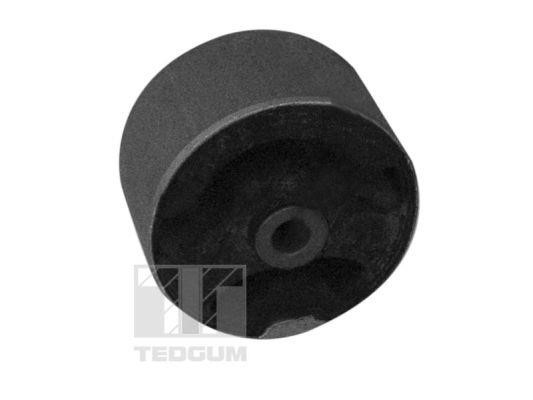 TedGum 00289581 Mounting, differential 00289581: Buy near me in Poland at 2407.PL - Good price!