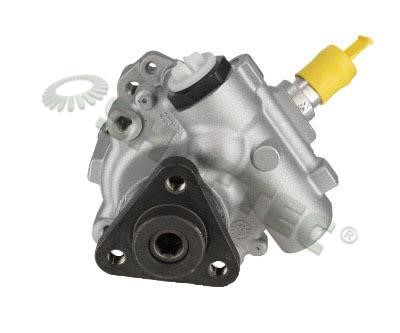 Shaftec HP061 Hydraulic Pump, steering system HP061: Buy near me in Poland at 2407.PL - Good price!