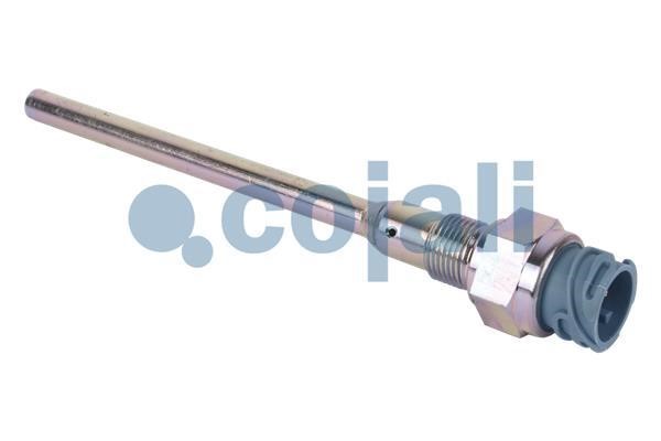 Cojali 2260488 Sensor 2260488: Buy near me at 2407.PL in Poland at an Affordable price!