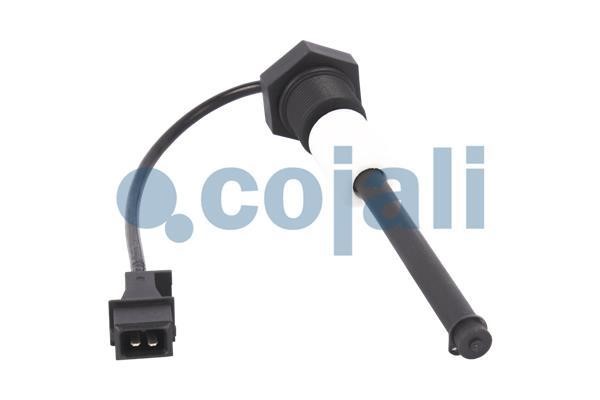 Cojali 2260486 Washer fluid level sensor 2260486: Buy near me in Poland at 2407.PL - Good price!