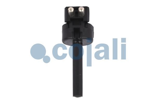 Cojali 2260407 Washer fluid level sensor 2260407: Buy near me in Poland at 2407.PL - Good price!