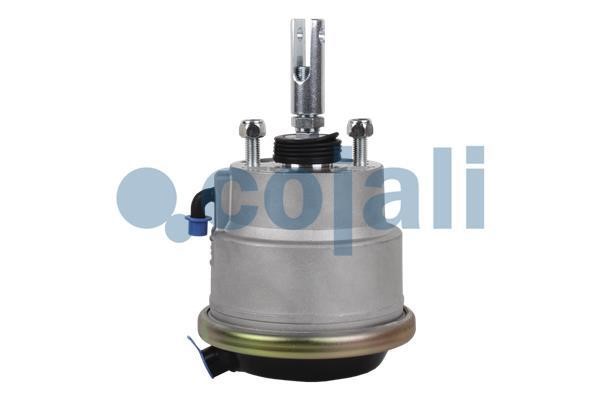 Cojali 2851408 Diaphragm Brake Cylinder 2851408: Buy near me in Poland at 2407.PL - Good price!