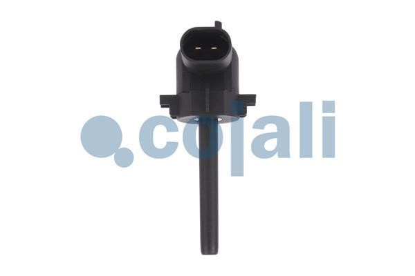 Cojali 2260333 Washer fluid level sensor 2260333: Buy near me in Poland at 2407.PL - Good price!