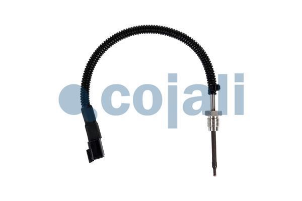 Cojali 2260891 Sensor, coolant temperature 2260891: Buy near me in Poland at 2407.PL - Good price!