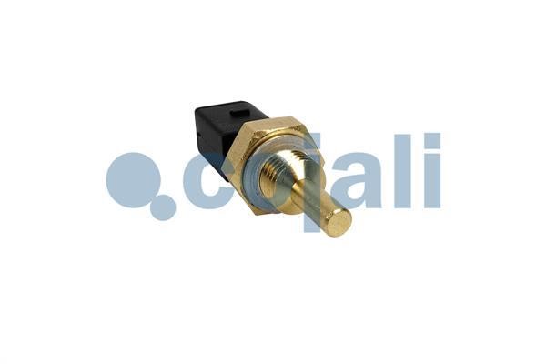 Kraftstofftemperatursensor Cojali 2260948