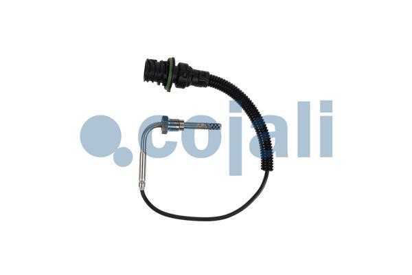 Cojali 2260901 Sensor, coolant temperature 2260901: Buy near me at 2407.PL in Poland at an Affordable price!