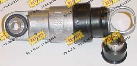Repkit RKT1221 Belt tensioner damper RKT1221: Buy near me in Poland at 2407.PL - Good price!