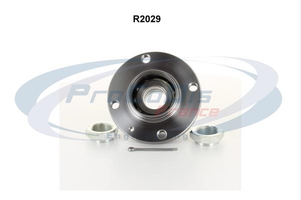 Procodis France R2029 Подшипник ступицы колеса, комплект R2029: Отличная цена - Купить в Польше на 2407.PL!