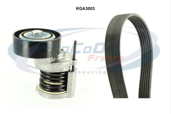 Procodis France KGA3003 Drive belt kit KGA3003: Buy near me in Poland at 2407.PL - Good price!