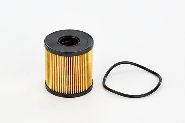 Doda 1110020031 Oil Filter 1110020031: Buy near me at 2407.PL in Poland at an Affordable price!