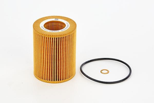 Doda 1110020055 Oil Filter 1110020055: Buy near me at 2407.PL in Poland at an Affordable price!